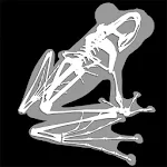 Cover Image of Tải xuống 3D Frog Skeleton 1.0 APK