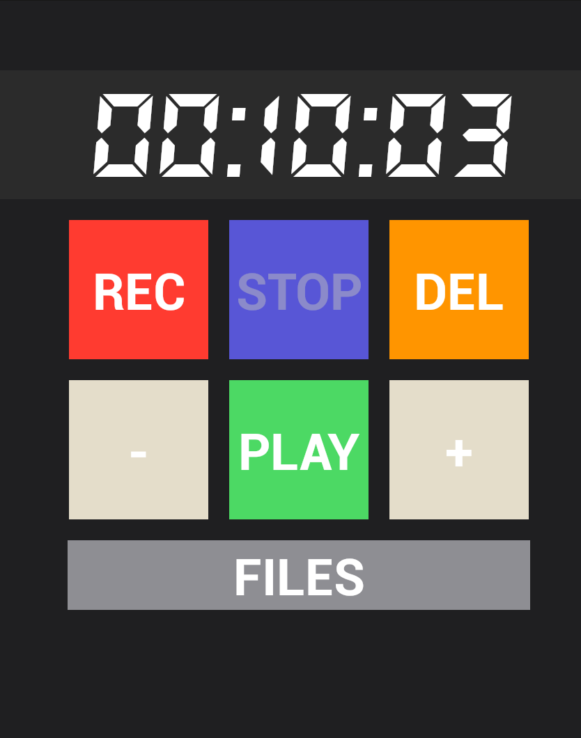 Recorder for SmartWatch Screen 3