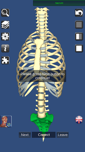 3D Bones and Organs (Anatomy)  screenshots 7