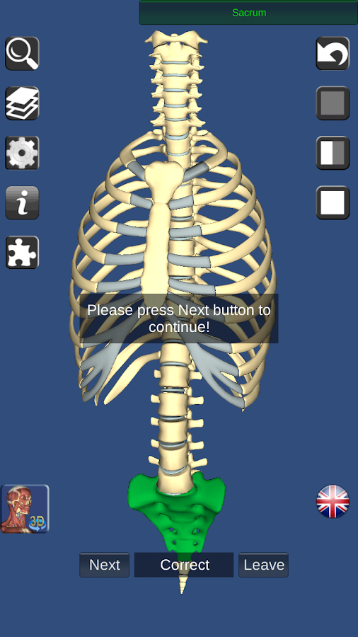 3D Bones and Organs (Anatomy) - Android Apps on Google Play