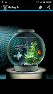 Aquarium Dekorating(圖4)-速報App