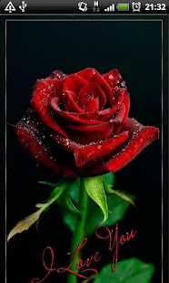 How to install Rose I Love You Live Wallpaper patch 1 apk for bluestacks