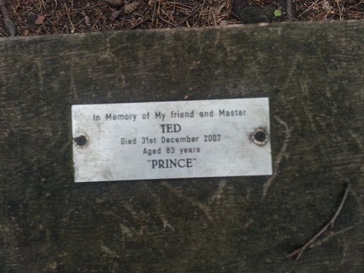 Master Ted Memorial