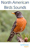 North American Birds Free