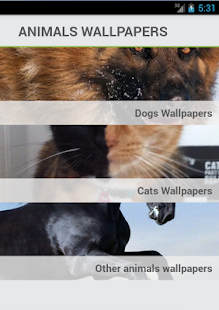 Download Animals Wallpapers Backgrounds APK
