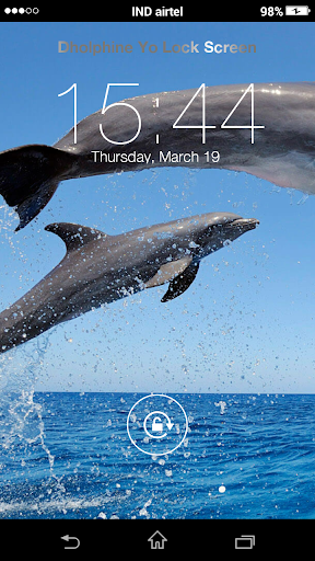 Dolphin Yo Locker HD