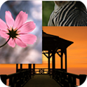 Word From Pictures logo