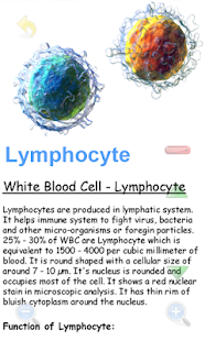 【免費醫療App】Blood Physiology - [ No Ads ]-APP點子