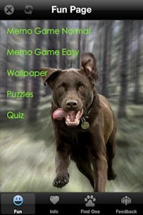 How to download Labrador Retriever+ Free 1.0 apk for android
