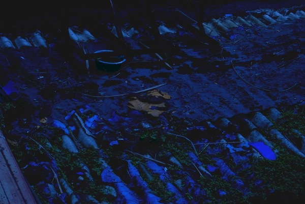 [WB-incan_ev-2[3].jpg]