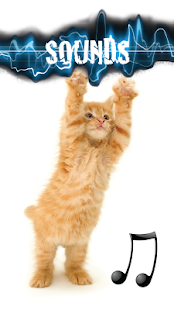 Cat Meow Sounds Screenshots 0