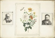 Stilleven met bloemen, een hoofd en een buste van een man