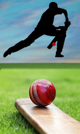 Cricket Matches Scorecard 2016 poster 1