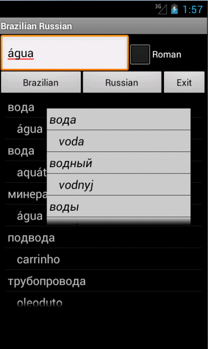 Android application Russian Brazilian Dictionary screenshort