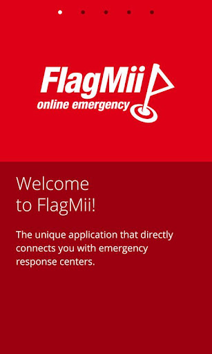 FlagMii