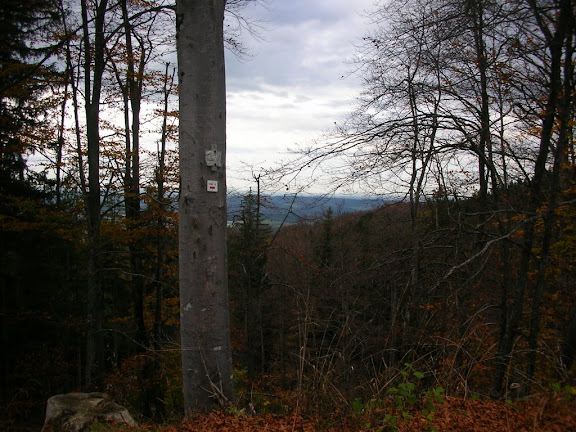 schwarzer grat fahrrad