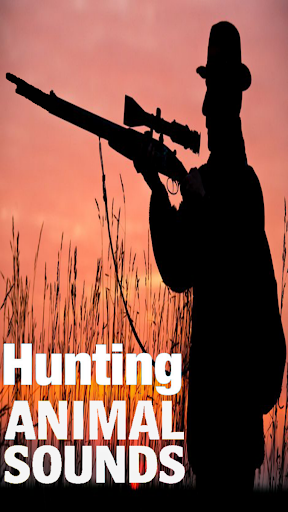 狩獵動物的叫聲