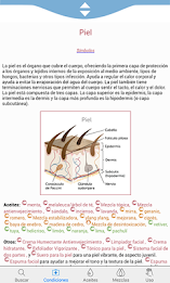 Modern Essentials Spanish poster 8