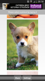 Jigsaw Puzzle: Cute Animals - Apps on Google Play