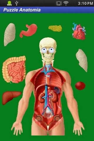 Puzzle Anatomy gioco didattico