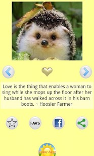 How to mod Love Quotes and Pictures patch 1.8 apk for android