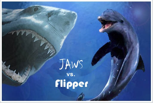 [flipper[8].jpg]