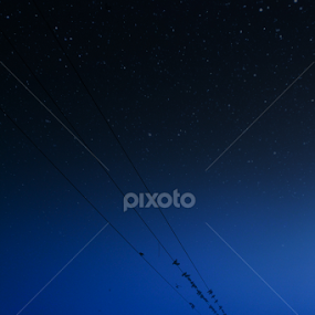 Vast and Calm by Aditya Singh - City,  Street & Park City Parks