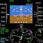 Pilot Instrument Training