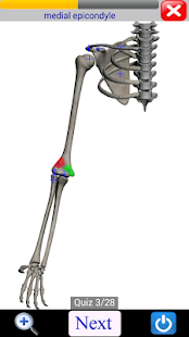 Visual Bones(圖8)-速報App