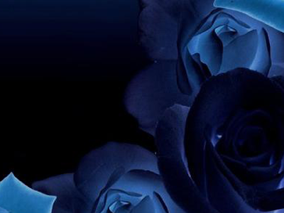 待ち受け 壁紙 青い バラ の最高のコレクション すべての美しい花の画像