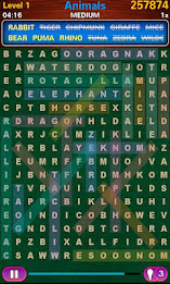 Word Search poster 6