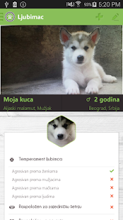HUNDO - All About dogs(圖4)-速報App