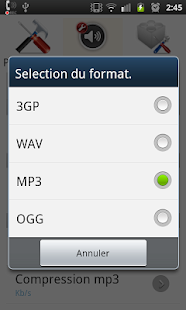 How to mod Phone & Voice Recorder PlugP3 2.3 apk for laptop