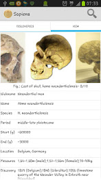 Sapiens -Archaeology & History poster 4