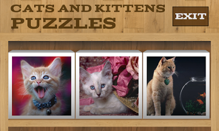 Cats and Kittens Puzzles poster 2