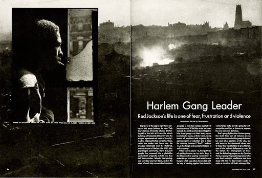 "Harlem Gang Leader," Life, p. 96-97