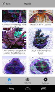 Free Download Reefs APK