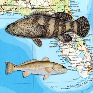 Florida Reef Fishing Scuba Map.apk 1.6