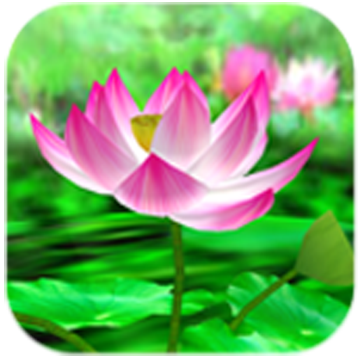 Lotus Livewallpaper LOGO-APP點子