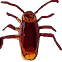 Roach  Slipper(Stress relief ) icon