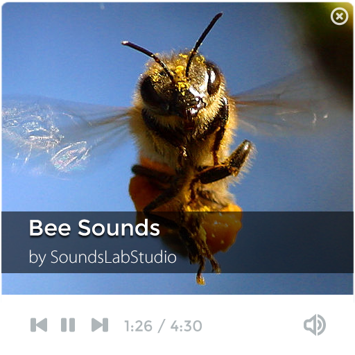 Bee Sounds