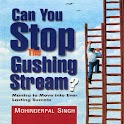 Can You Stop Gushing Stream? logo