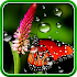 Rain Live Wallpaper1.0.8