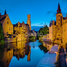 Historic Beauty by CK Lam - City,  Street & Park Historic Districts