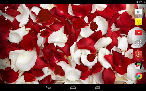 【免費個人化App】Rose petals Live Wallpaper-APP點子