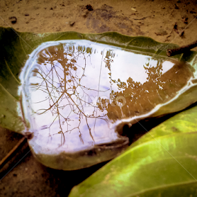 Where it saved the sky. by Thant Min - Instagram & Mobile Android