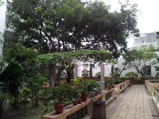 Garden @ Ho Tung Library