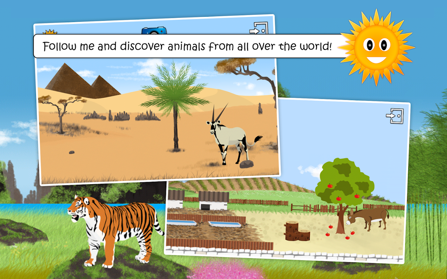 About All Animals Images Hewan Lucu About All Animals Images Hewan Lucu