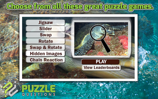 Ocean Turtles Puzzle Games