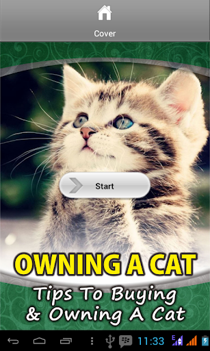 Owning A Cat
